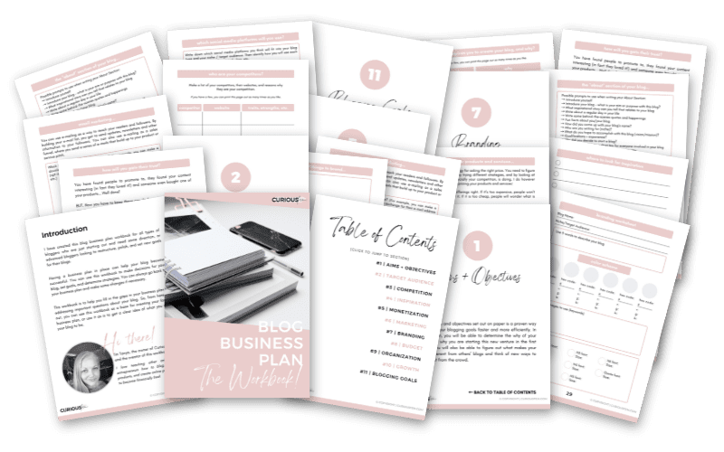 Blog Business Plan by CuriousFem - Tanya Viljoen - Image 1